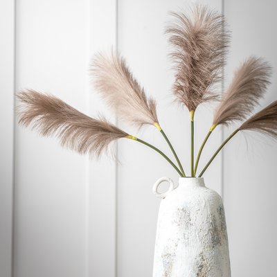 Pack of 5 72cm Artificial Goma Soft Feather Stem ÉDITÉ