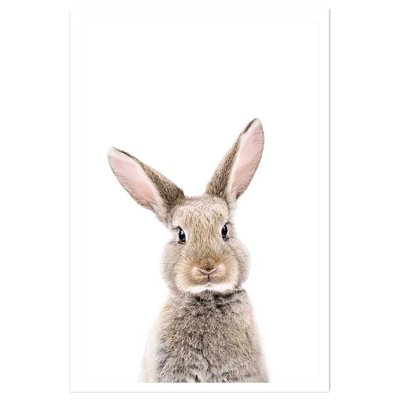 Affiche enfant bébé lapin HEXOA
