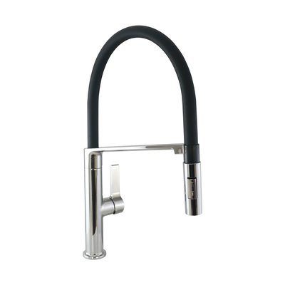 Mitigeur de cuisine avec douchette Brillant OLY DELINIA