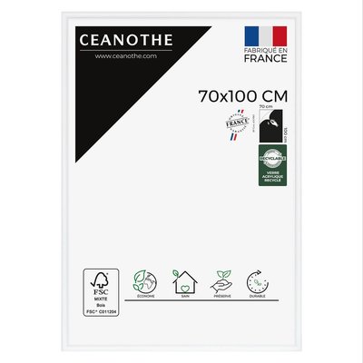Cadre Photo Exposition 70x100 Cm Noir Bois Massif Fsc ESSENTIEL CEANOTHE