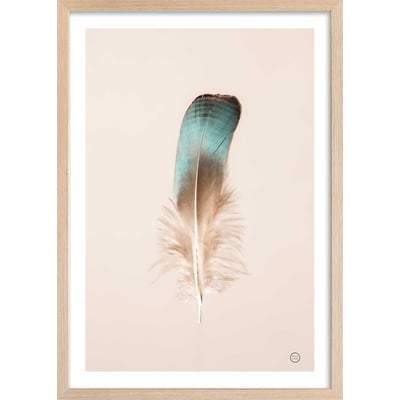 Affiche enfant plume bleue HEXOA