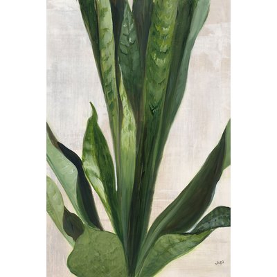 Tableau Sanseveria aquarelle HEXOA