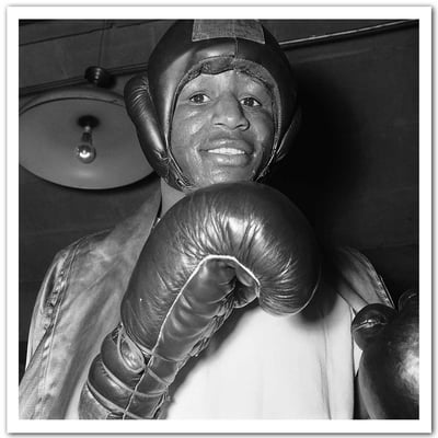 Affiche boxe Tigers Jones Brooklyn en 1928 HEXOA