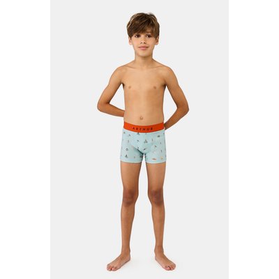 Boxer en coton, imprimé Camping ARTHUR