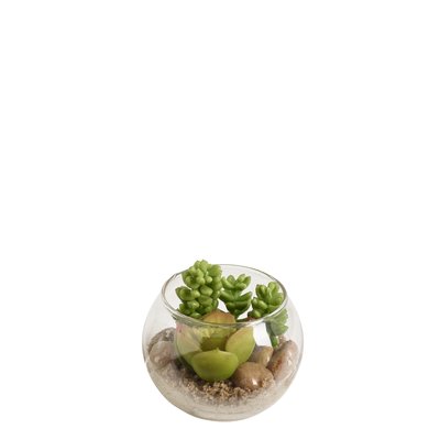 Succulente sedum en terrarium rond artificielle H8 SIA DECO