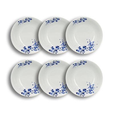 Lot de 6 assiettes creuses en porcelaine 21cm, CENTAUREE NOVASTYL