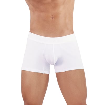 Boxer Heavenly CLEVER