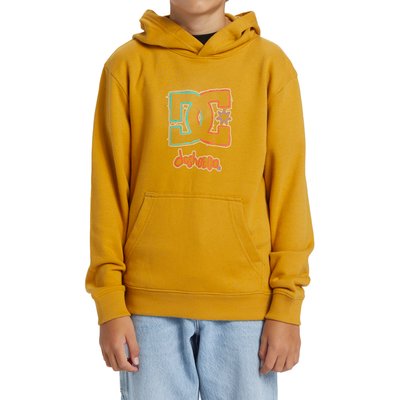 Sweat à capuche NEW DEALS. DC SHOES