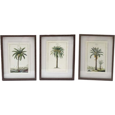 Ensemble de 3 cadres 30 x 40 cm Palmiers JARDINDECO