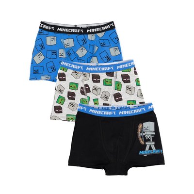 Ensemble Boxers MINECRAFT