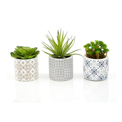 22cm Set of 3 Artificial Succulents in Henna Ceramic Pots SO'HOME