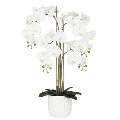 Orchidée artificielle toucher naturel 100cm LIGNE DECO