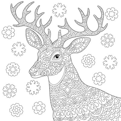 Tableau Mural À Colorier Cerf NOËL CEANOTHE