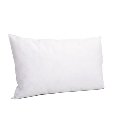 Lot de 2 oreillers Natura 60x60 cm Duvet & Plumess BELLECOUR