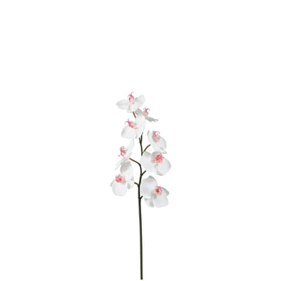 Tige d'orchidée phalaenopsis artificielle H50 SIA DECO