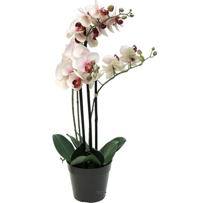 Orchidée Phalaenopsis faux 3 hampes H60 cm ARTIFICIELLES