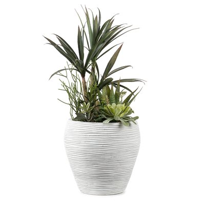 69cm Artificial UV Mixed Agave/Succulents in Grey Pot SO'HOME