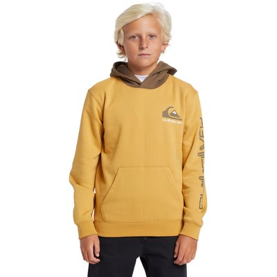 Sweat à capuche en molleton QUIKSILVER