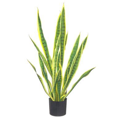 Planta artificial "Snake" 85cm, BORGHESI BORGHESI