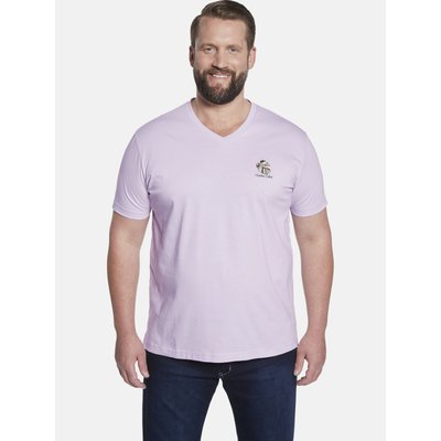 Lot de 2 T-shirts EARL RHODIN CHARLES COLBY