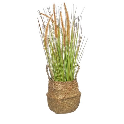 Planta artificial em cesto, BORGHESI BORGHESI