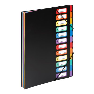 Trieur accordéon 12 compartiments format A4 RAINBOW CLASS VIQUEL