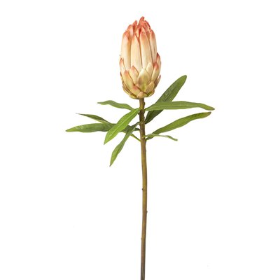 Tige de protea artificielle H73 SIA DECO