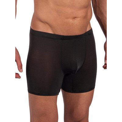 Boxer RED2384 OLAF BENZ