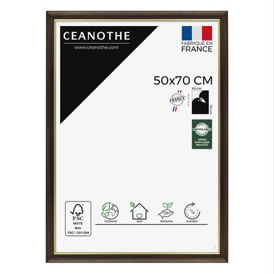 Cadre Photo Ébène Doré 50x70 Cm Résine Recyclée LUNA CEANOTHE