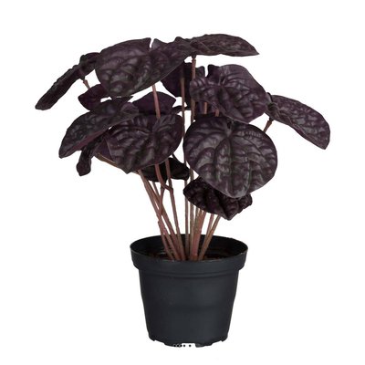 Peperomia fausse plante en pot lesté H20cm ARTIFICIELLES