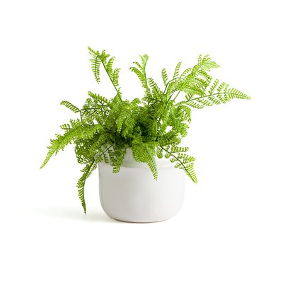 Filipio 15cm Diameter Ceramic Flower Pot LA REDOUTE INTERIEURS