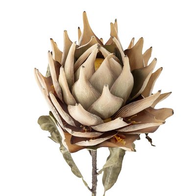 Fleur artificielle Protea BLOOMINGVILLE