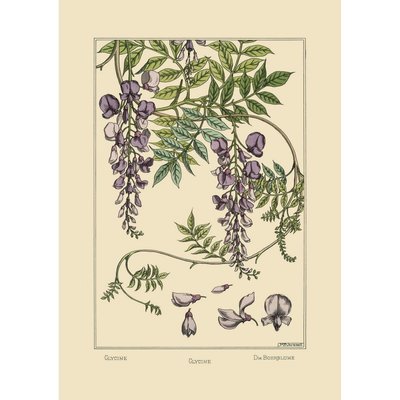 Affiche ancienne décorative glycine THE DYBDAHL CO