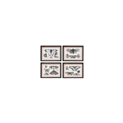 Cadres en bois papillons (Lot de 4) PAPILLONS CHEHOMA
