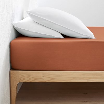 Drap housse jersey coton, bonnet 30cm, Scenario LA REDOUTE INTERIEURS