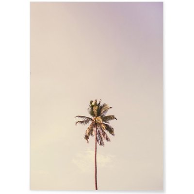 Poster nature Palm Trees 6 L'AFFICHERIE