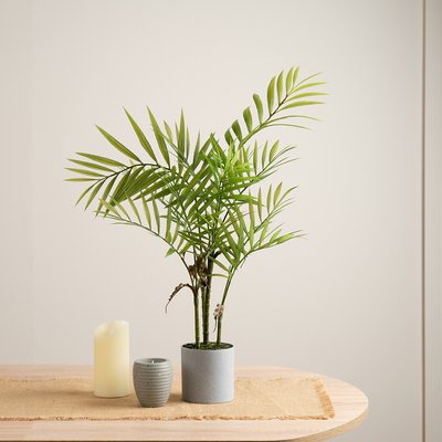 66cm Artificial Palm in Plastic Pot SO'HOME