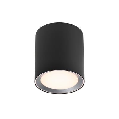 Spot LED gradation Moodmaker™, salle de bain cylindrique en métal, LANDON NORDLUX