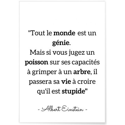 Affiche Albert Einstein : 'Tout le monde...' L'AFFICHERIE