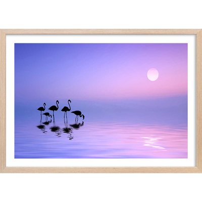 Affiche animaux Morning Flamingo HEXOA