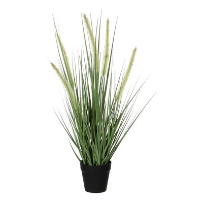 Plante artificielle DOGTAIL MICA DECORATIONS