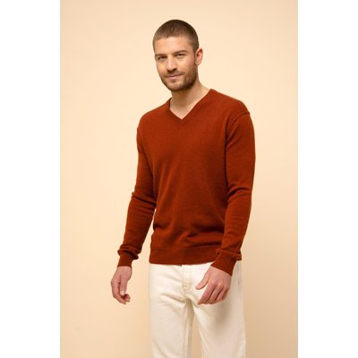 Pull Col V  Écureuil Tom JUST CASHMERE