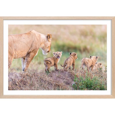 Affiche animaux let's go mom HEXOA