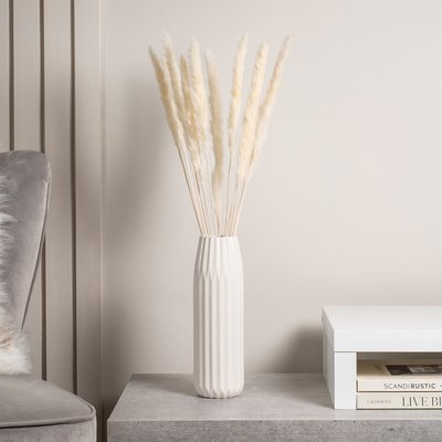 65-70cm Small White Pampas Grass Bunch (11 stems) SO'HOME