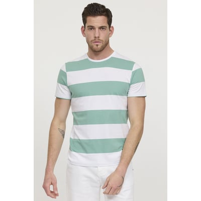 T-shirt manches courte coton regular APIRO LEE COOPER