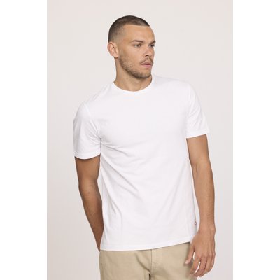T-shirt manches courte coton regular AYLAN LEE COOPER
