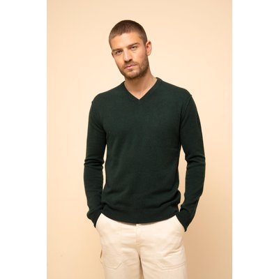 Pull Col V  Cyprès Tom JUST CASHMERE