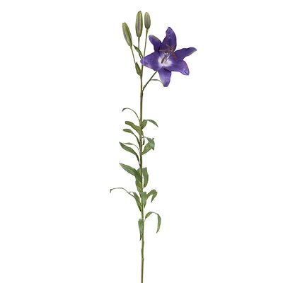 Tige de lily rubrum artificielle H98 SIA DECO