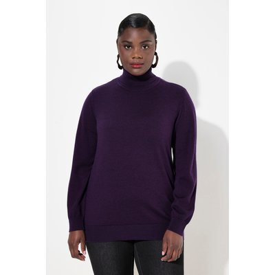 Pull à col roulé et manches longues ULLA POPKEN