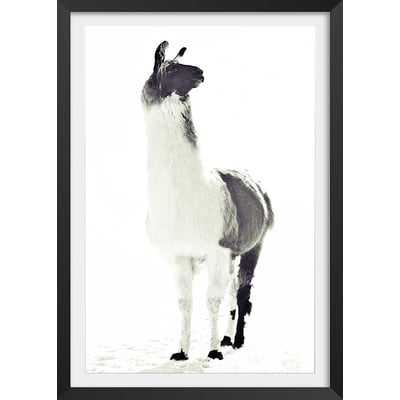 Affiche enfant noir et blanc HEXOA